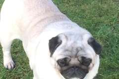 Daisy10