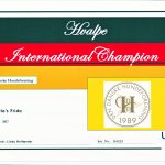 Championater0003