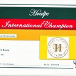 Championater0004