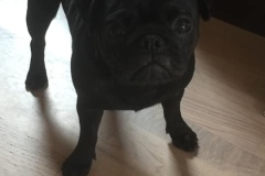 Frida12