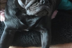 Frida13