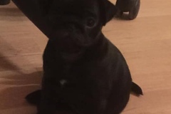 Frida2
