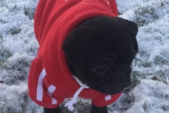 Frida4