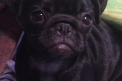 Frida5