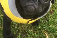 Frida7