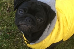 Frida8
