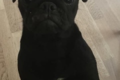 Frida9